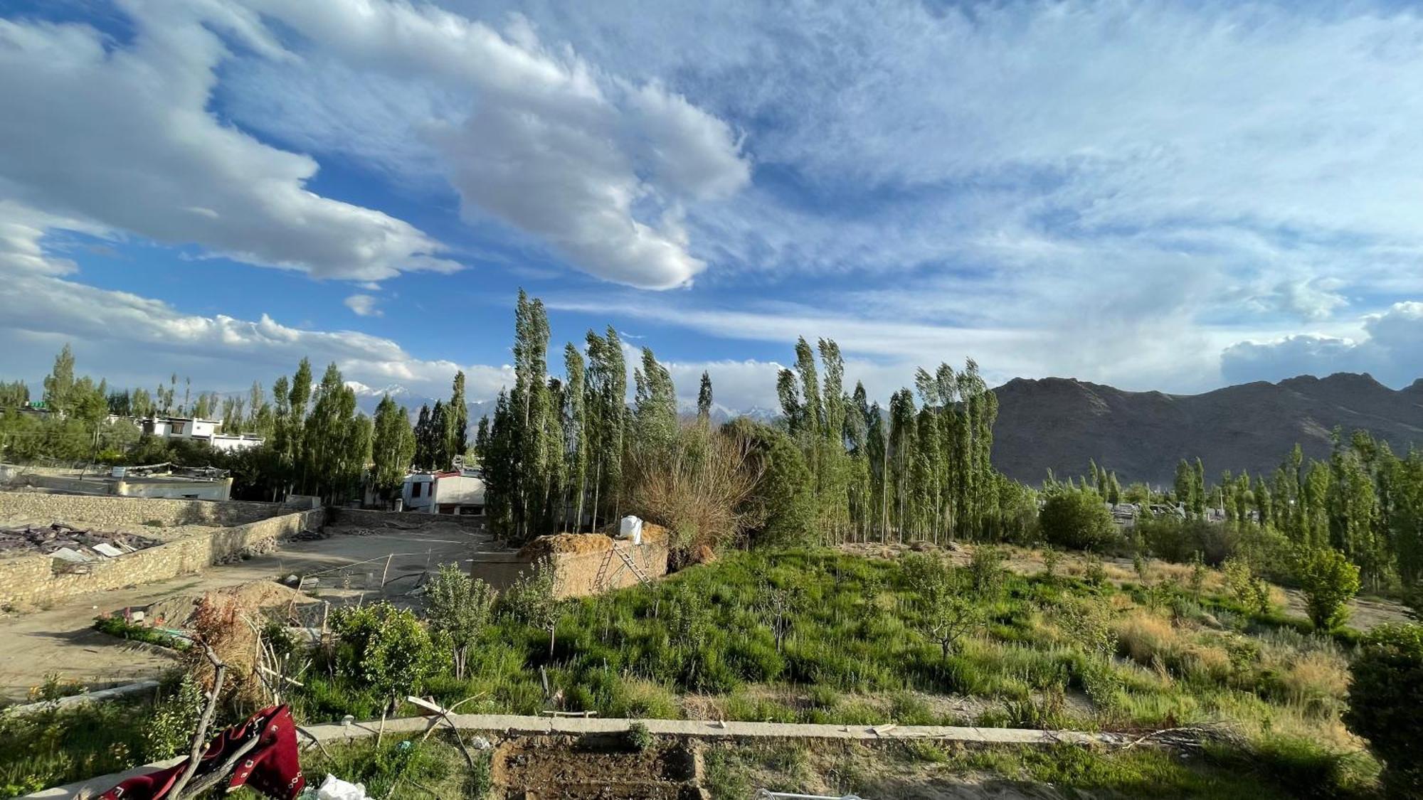The Willow House Leh Exterior foto