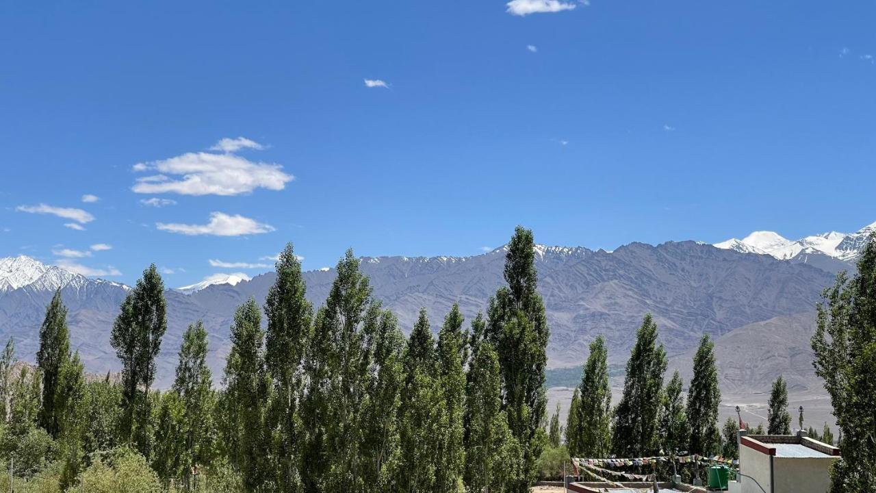 The Willow House Leh Exterior foto